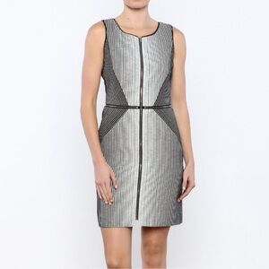 Anthropologie brand Yoana Baraschi Black and White Striped Sheath Dress, Size 4